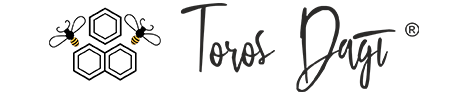 logo main
